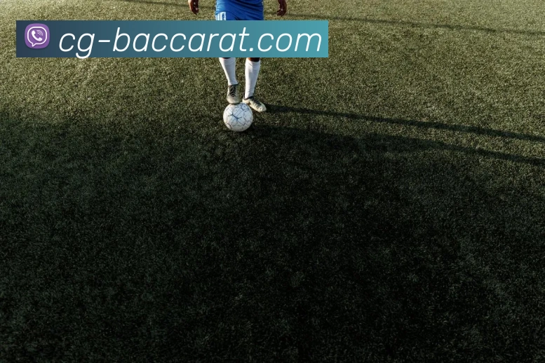 百家乐官网APP 体育赛事宣传图