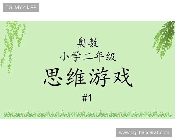 二年级孩子喜欢的十大趣味游戏推荐轻松提升动手能力与思维发展